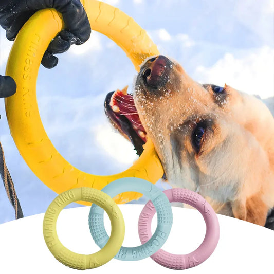 צעצוע טבעת משיכה אילוף לכלב לחיות מחמד